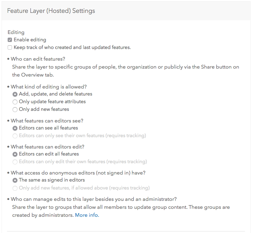 Enabled editing in the feature layer details